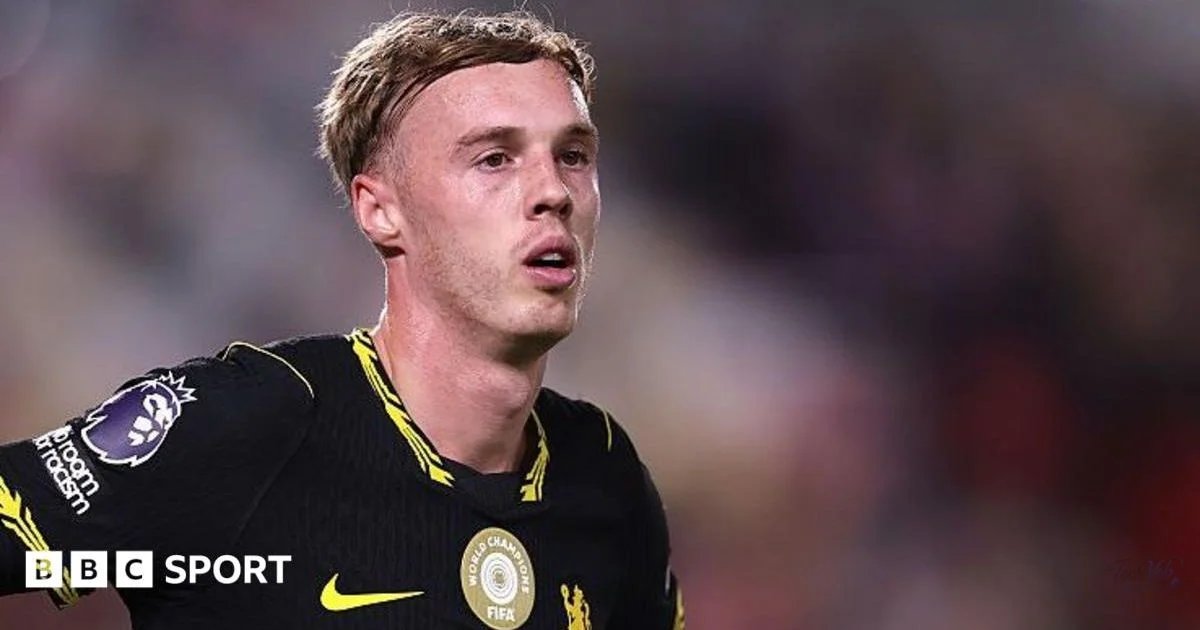 England's Palmer a 'victim' of 'sick' schedule, says PFA chi