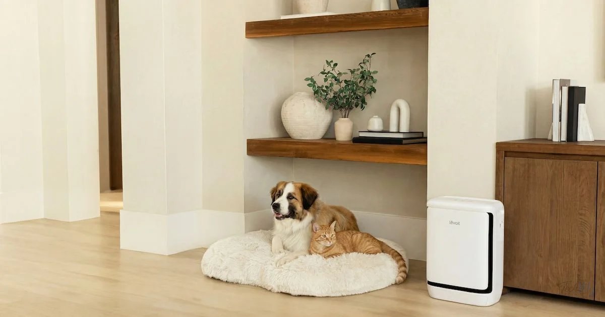 Levoit’s new air purifier is for the pet odors that have tak