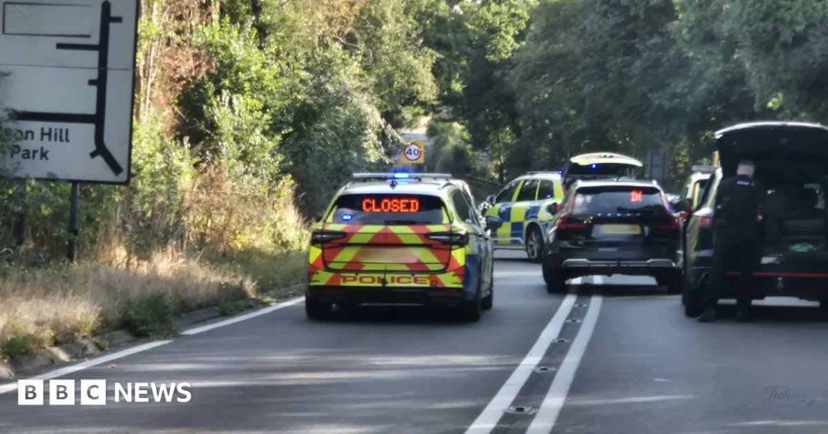 Man dies in crash after police pursuit
