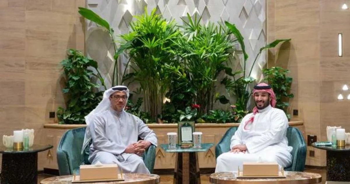 Mansour bin Zayed, Saudi Crown Prince discuss fraternal rela