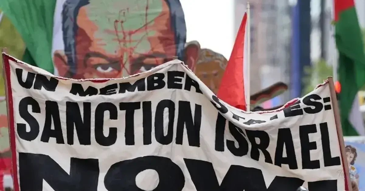 Palestine in focus