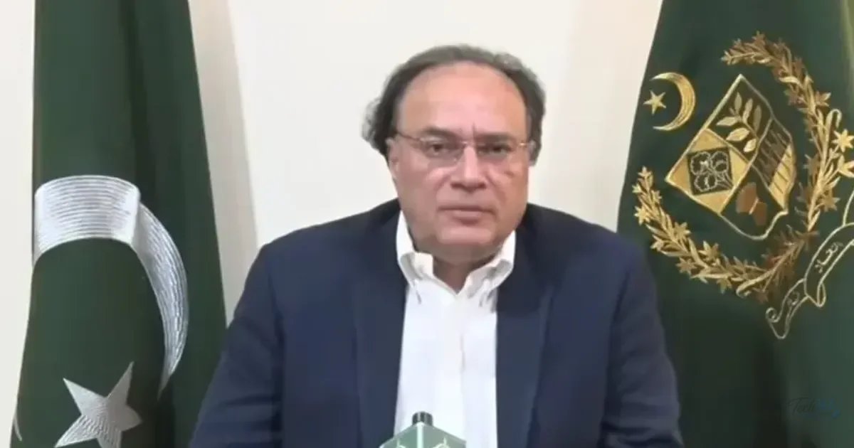 Protests Cause Rs120bn Daily Loss: Pakistan Finance Minister