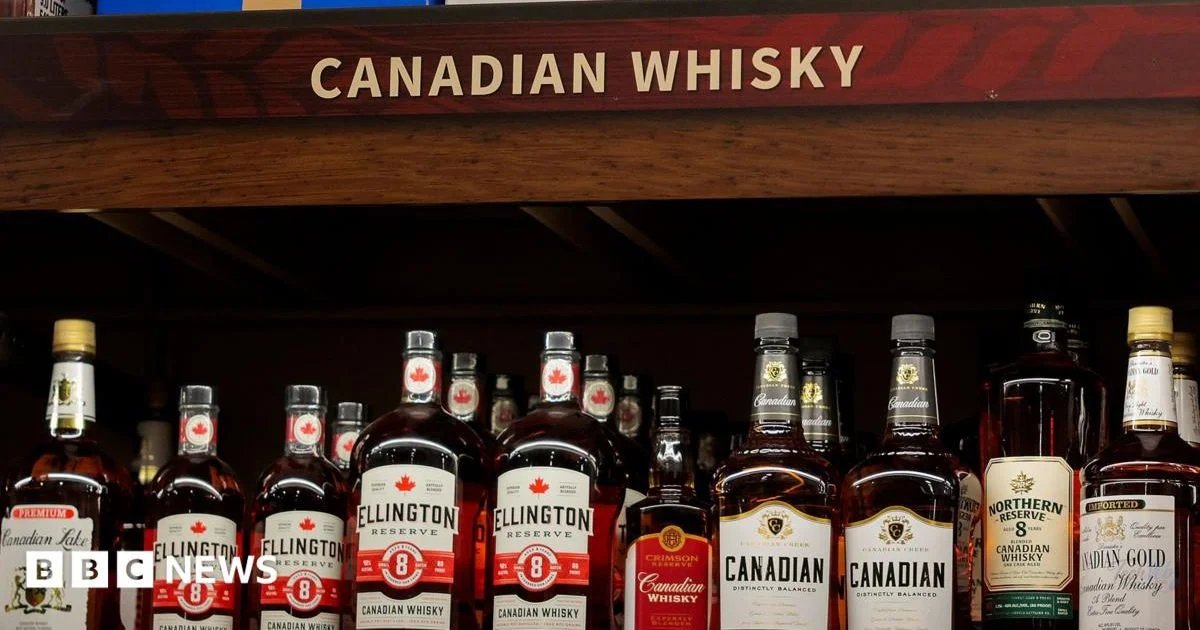 What tariffs will really cost Canadians and Americans