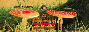 Tsoqtvnfqulzpm0433gs