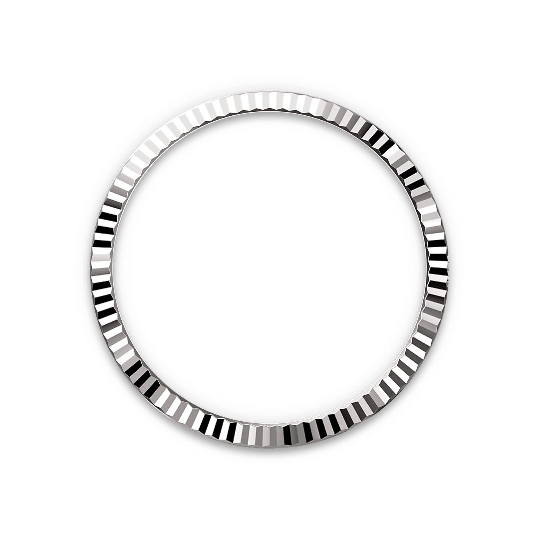 Rolex Datejust 36 in White Rolesor - combination of Oystersteel and white gold, M126234-0051 - Bucherer