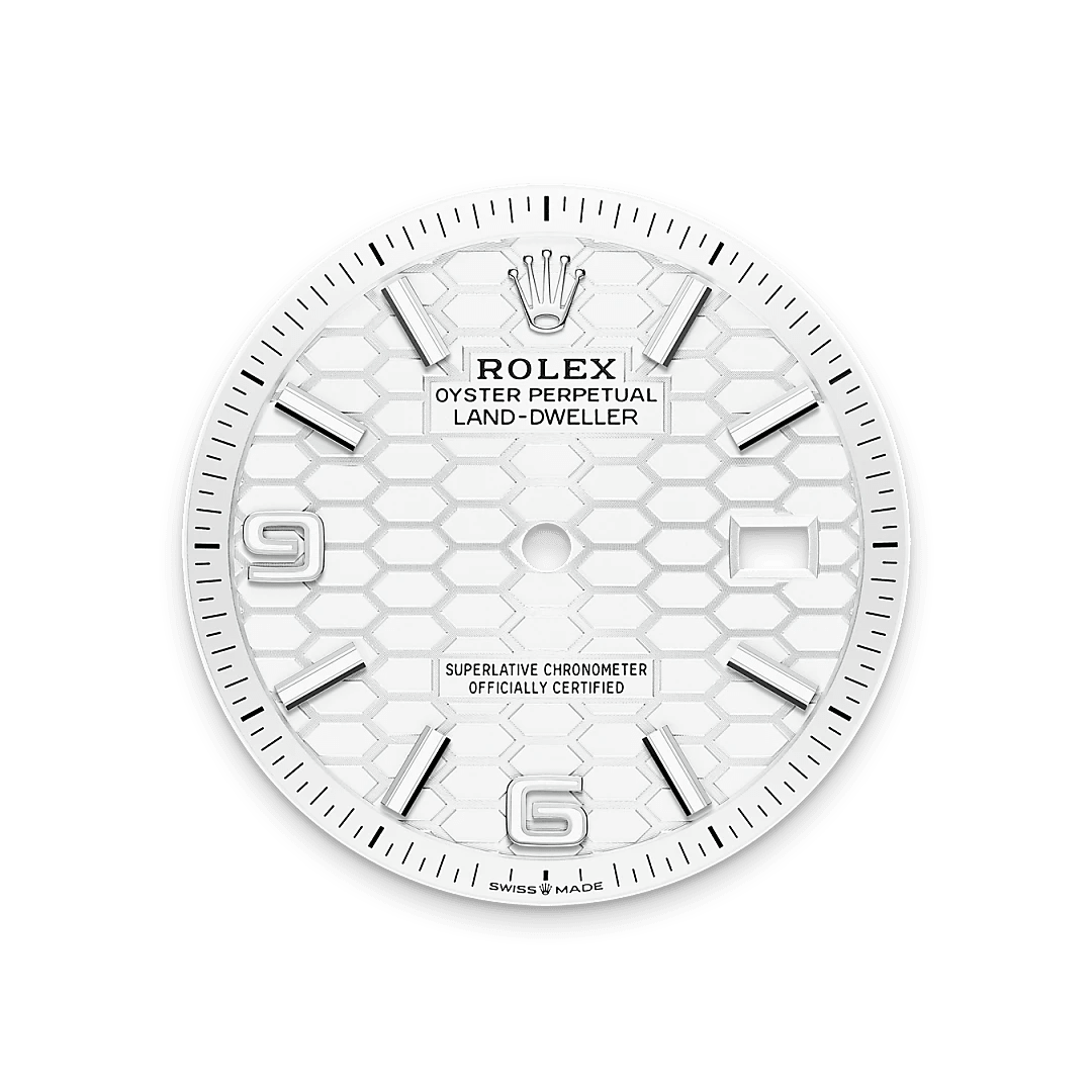Rolex Land-Dweller 36
 i Hvid Rolesor - kombination af Oystersteel og 18 karat hvidguld, M127234-0001 - Bucherer