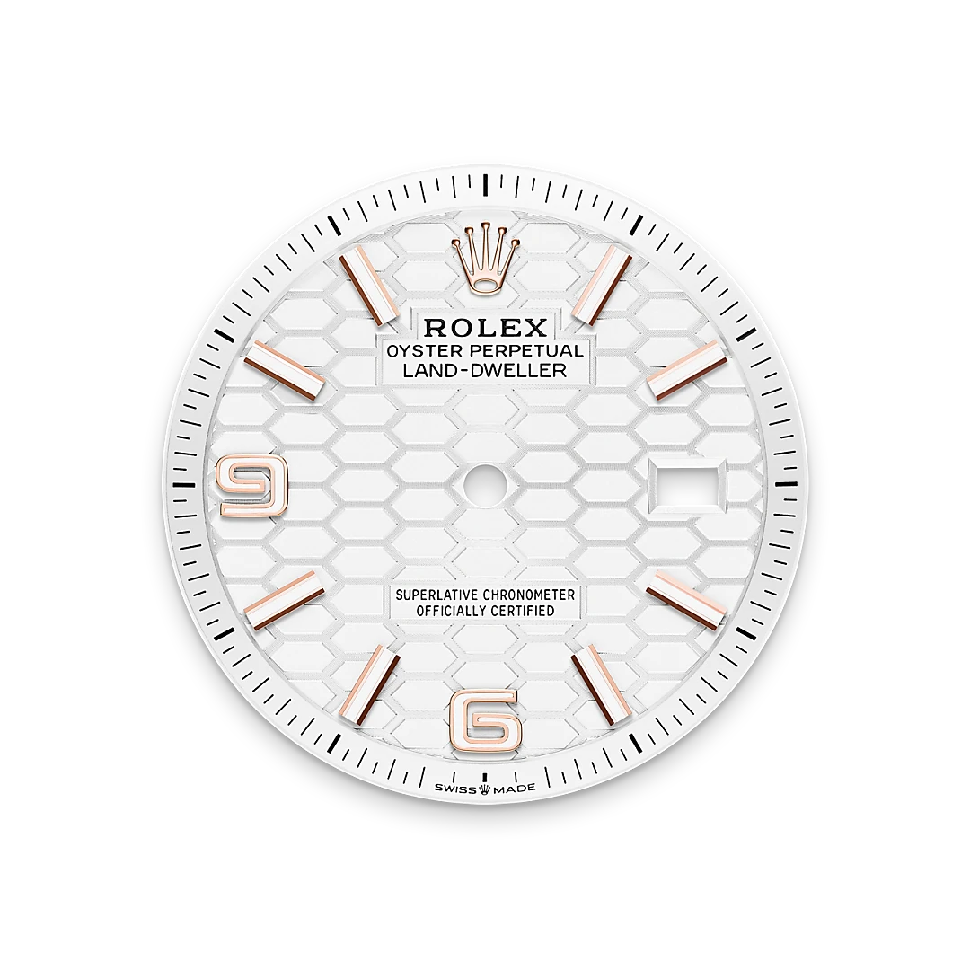 Rolex Land-Dweller 36 in 18 ct Everose gold, M127235-0001 - Bucherer