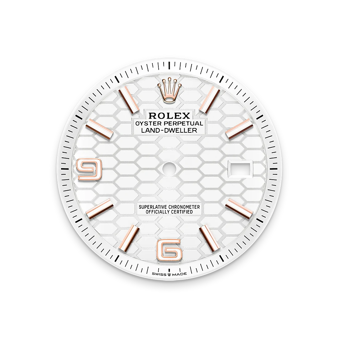 Rolex Land-Dweller 40
in 18 Karat Everose-Gold, M127335-0001 - Bucherer