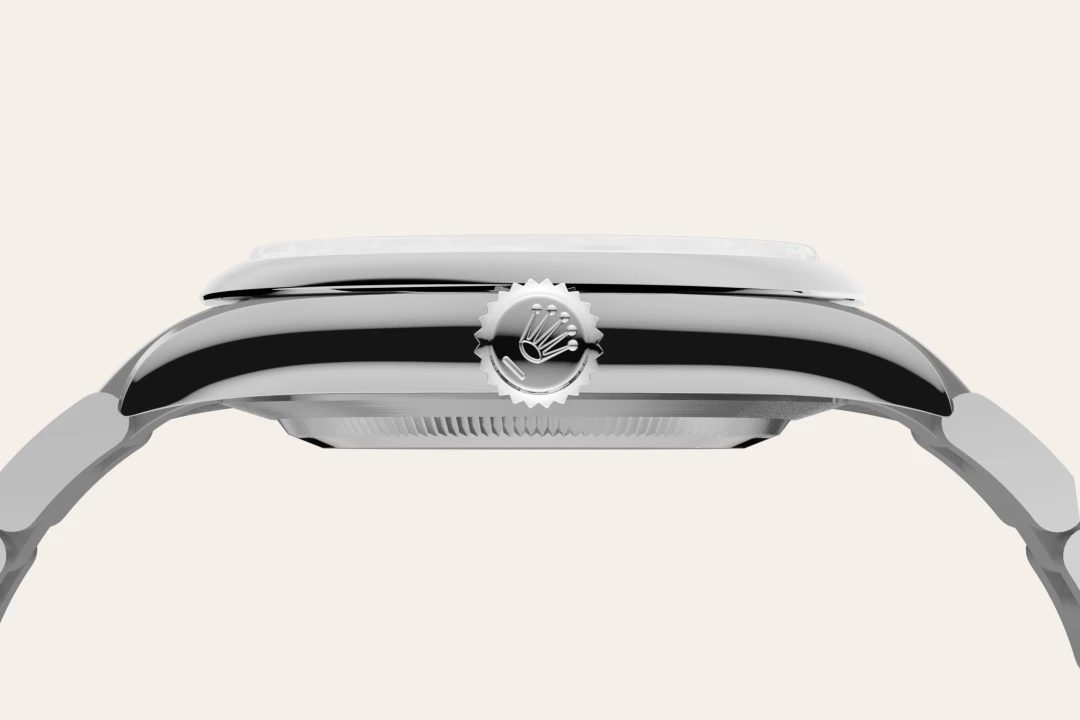 Rolex Oyster Perpetual 41 in Oystersteel, M134300-0004 - Bucherer