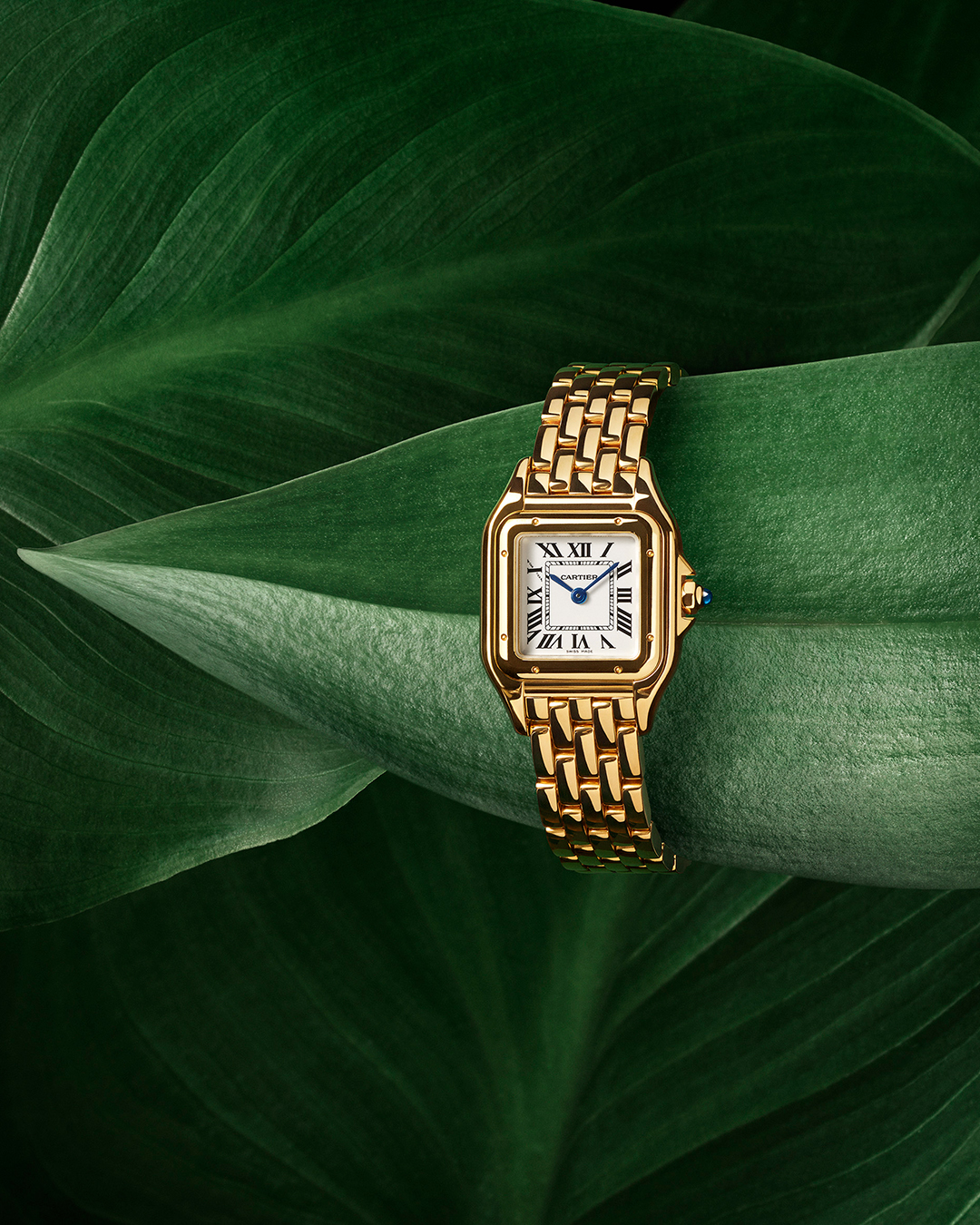 PUWA11134_PANTHERE_YG_WGPN0038_1080x1350_ejaii9