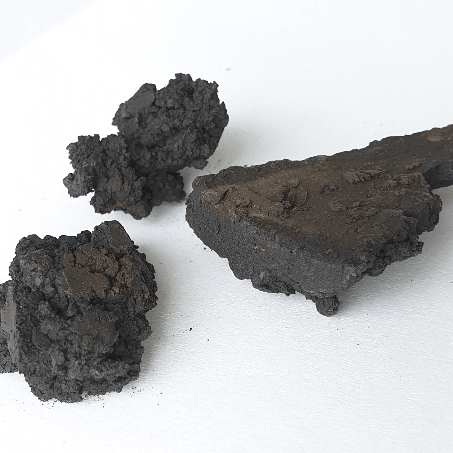 Coal from biomass using hydrothermal carbonization (HTC) Coal from biomass using hydrothermal carbonization (HTC)