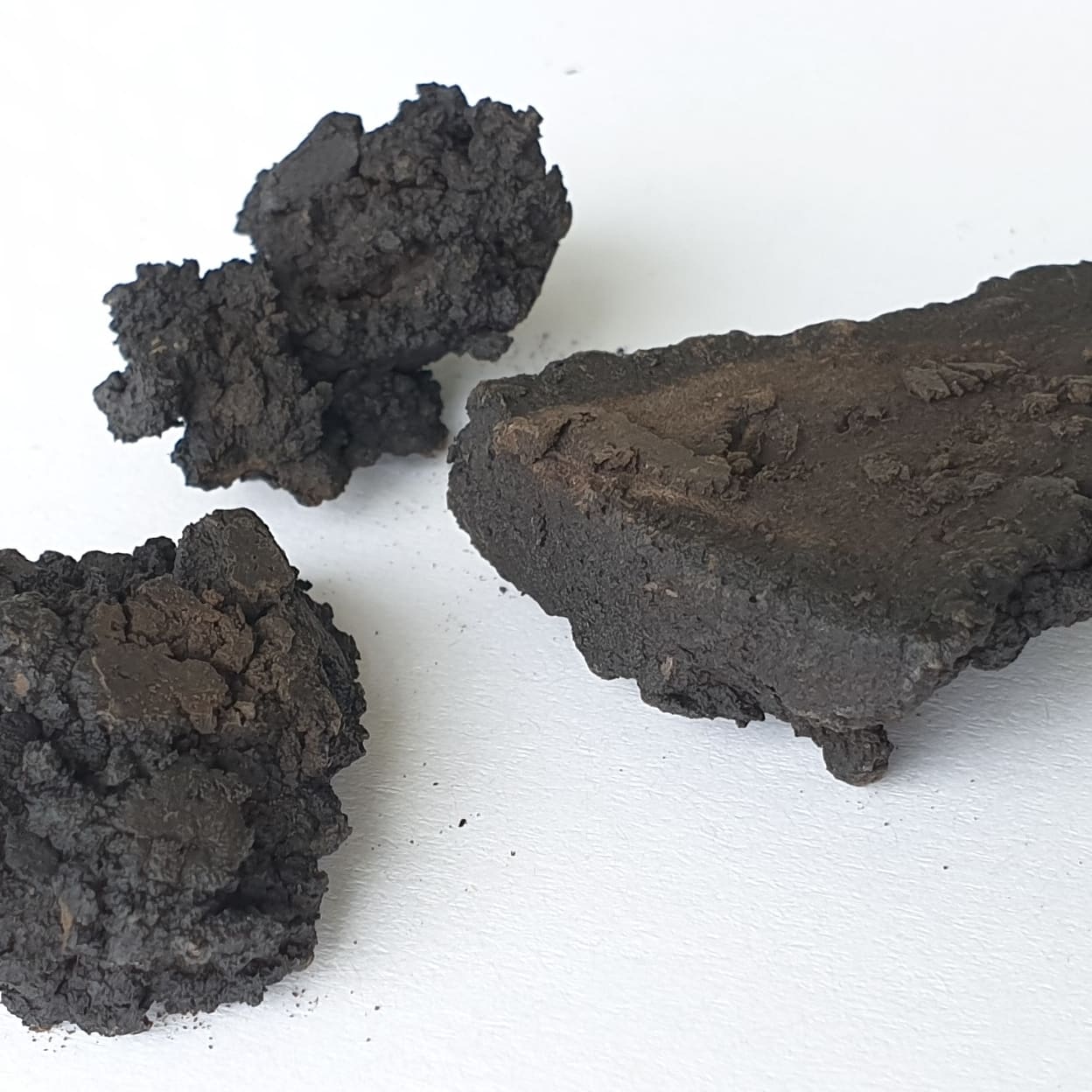 Coal from biomass using hydrothermal carbonization (HTC) Coal from biomass using hydrothermal carbonization (HTC)