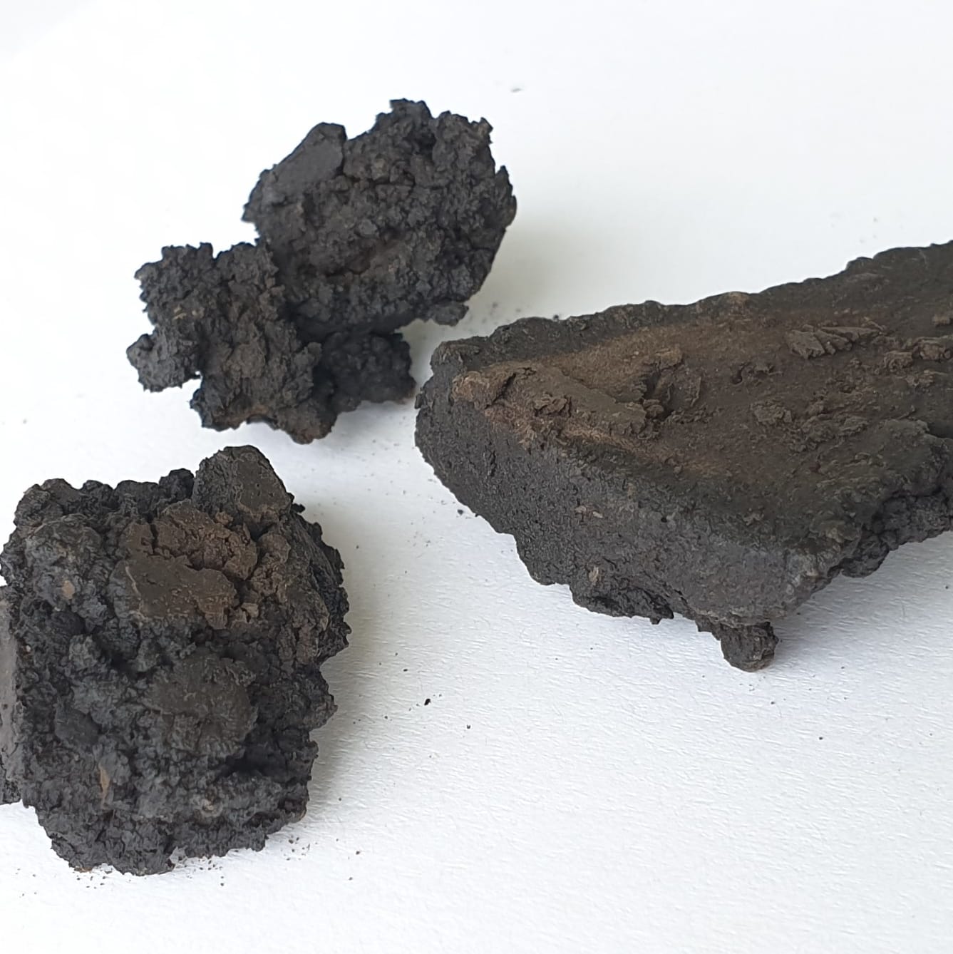 Coal from biomass using hydrothermal carbonization (HTC) Coal from biomass using hydrothermal carbonization (HTC)