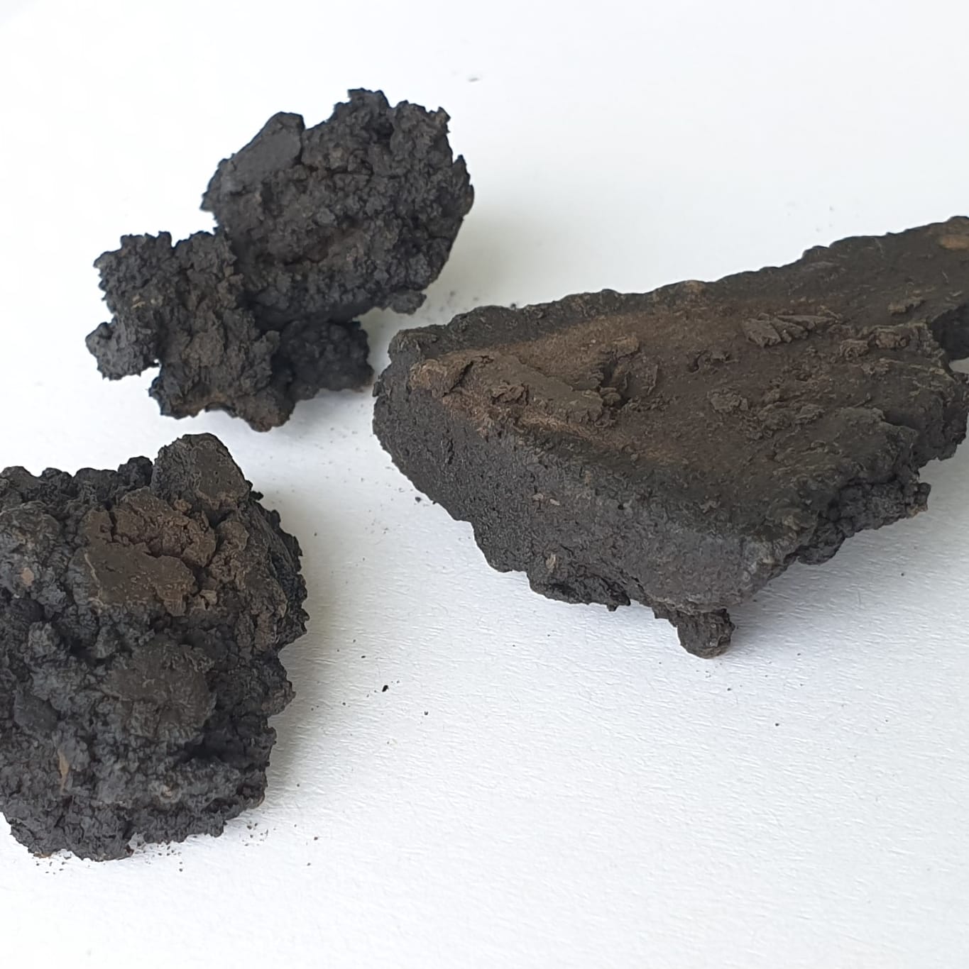Coal from biomass using hydrothermal carbonization (HTC) Coal from biomass using hydrothermal carbonization (HTC)
