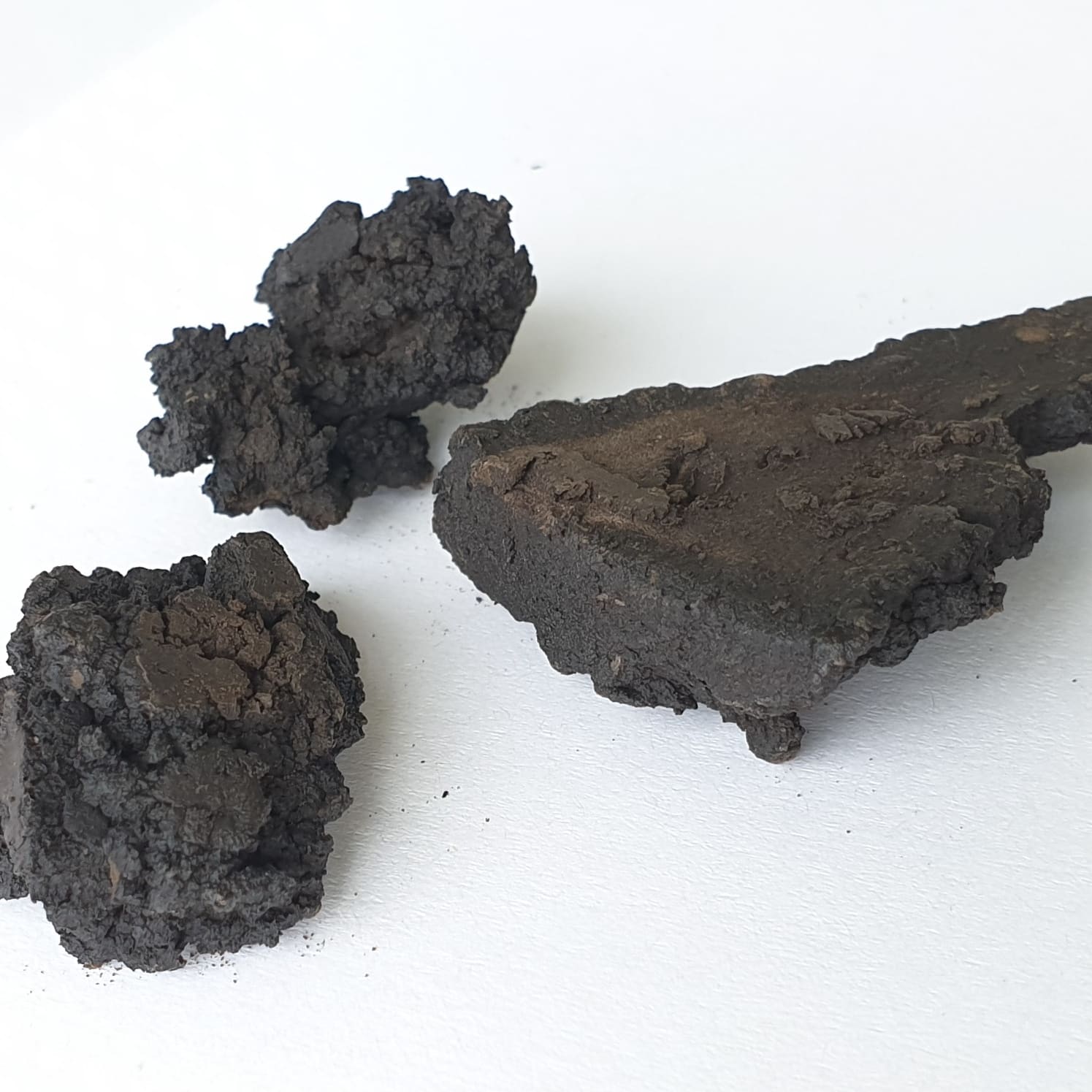 Kohle aus Biomasse unter Verwendung hydrothermaler Karbonisierung (HTC) Kohle aus Biomasse unter Verwendung hydrothermaler Karbonisierung (HTC)