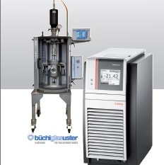 Pressure reactor with temperature control system Pressure reactor with temperature control system
