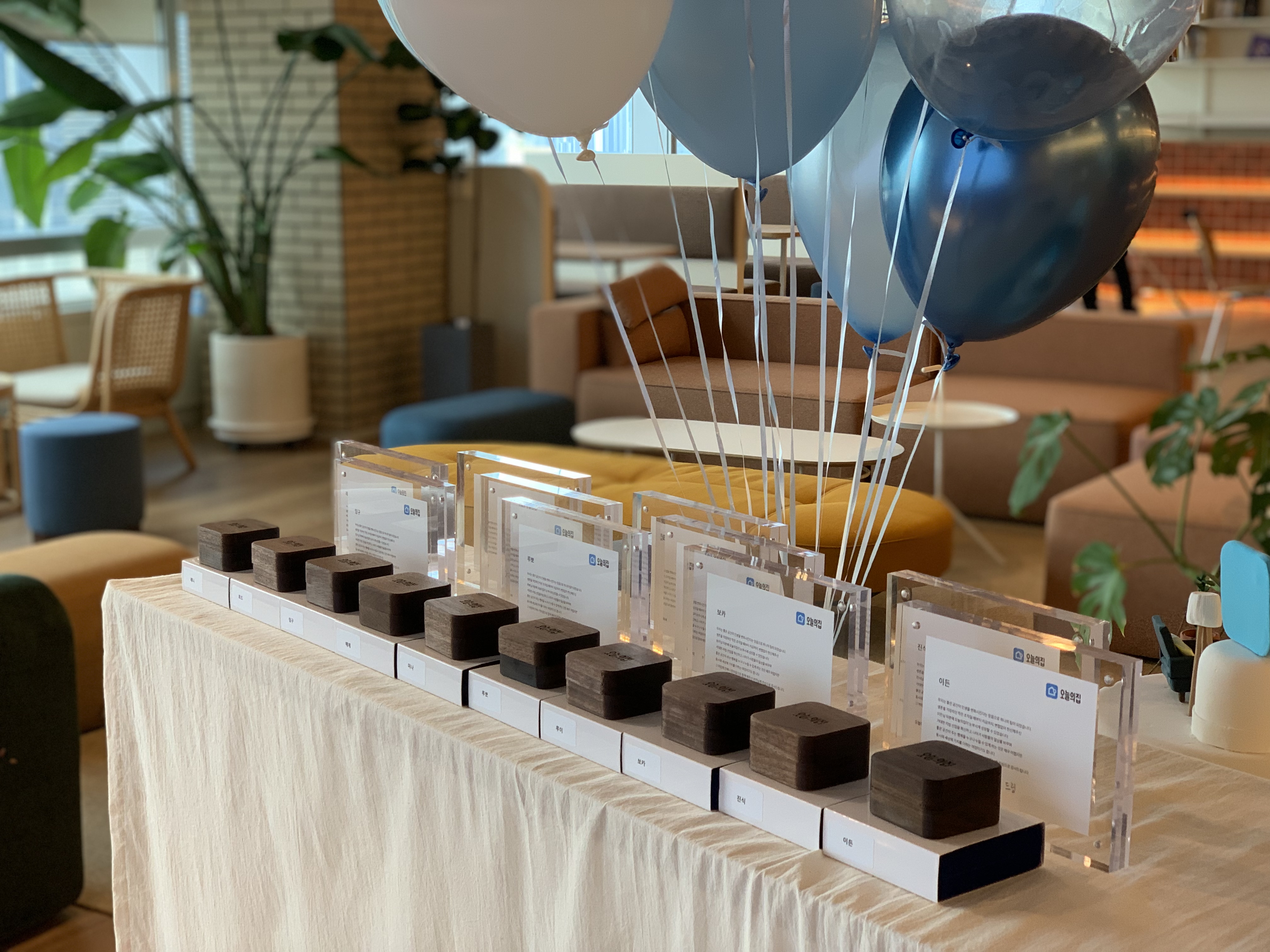 오늘의집 7년의 여정을 기념하다