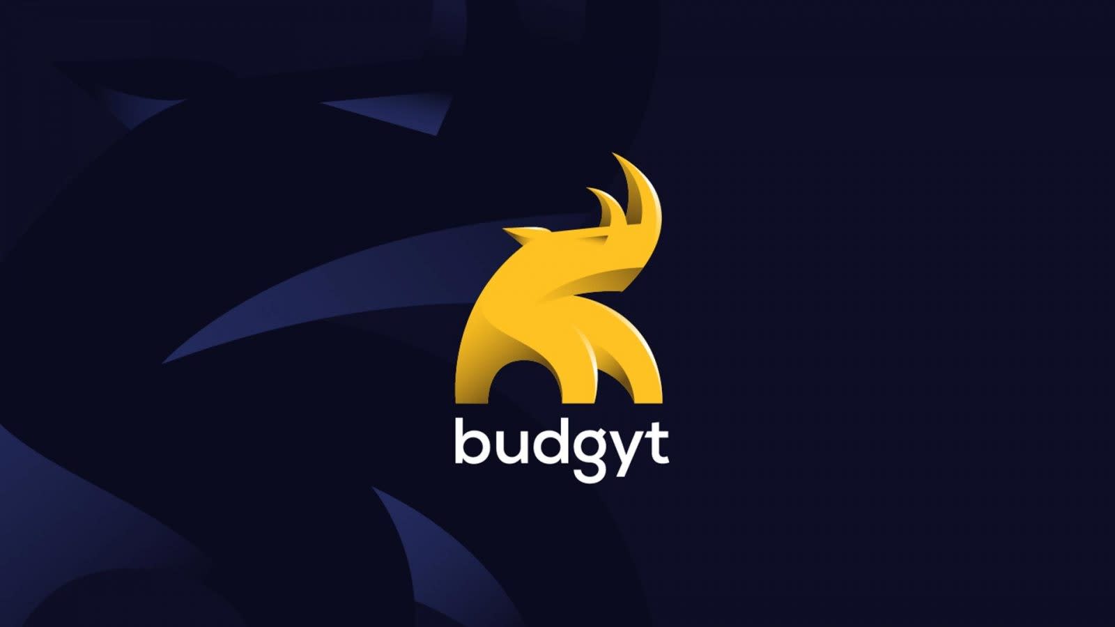 Featured image for “budgyt-evolves-brand-identity”