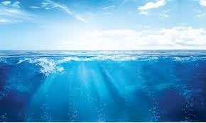 futuresea