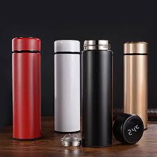Water Bottle with LED Temperature Display
