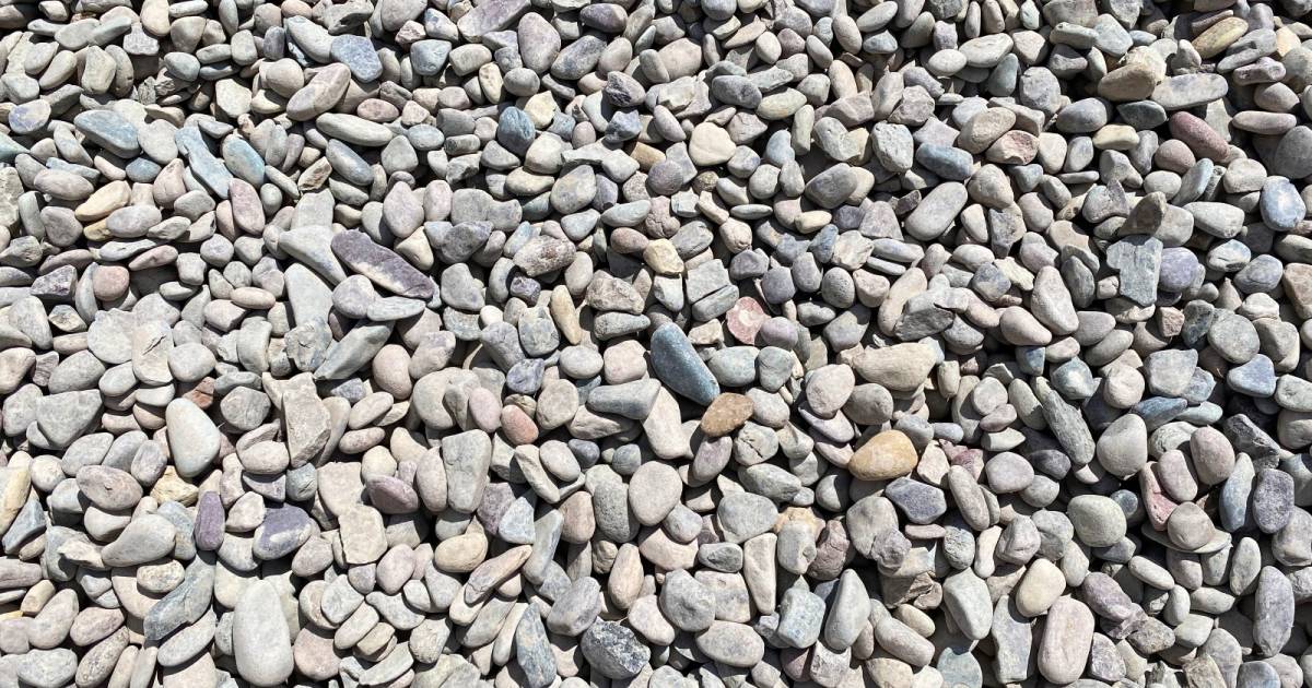 Bitterroot Round River Rock Delivery - 1.5 inch Rainbow - Little Dumps