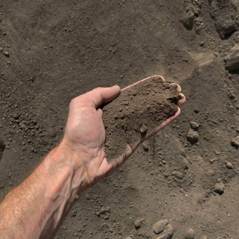 Overhead view of Screened Topsoil with hand for scale