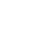 OPTICALLY CORRECT