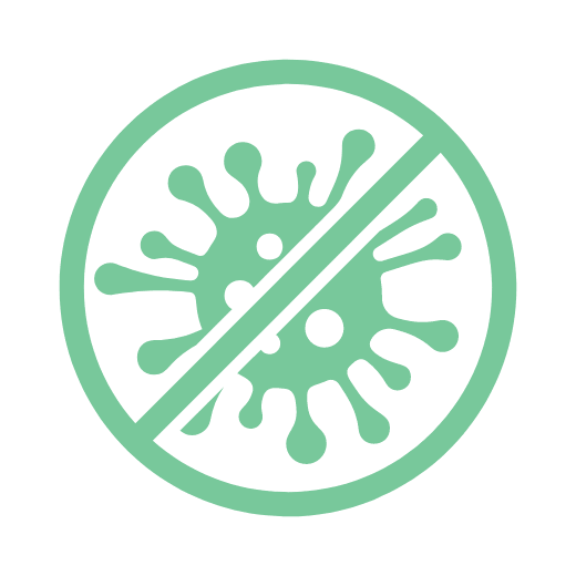 Protection Against Viruses Icon