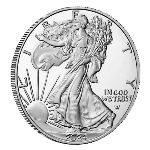 Compare 2024 American Silver Eagle Proof Coin At Best Price Online