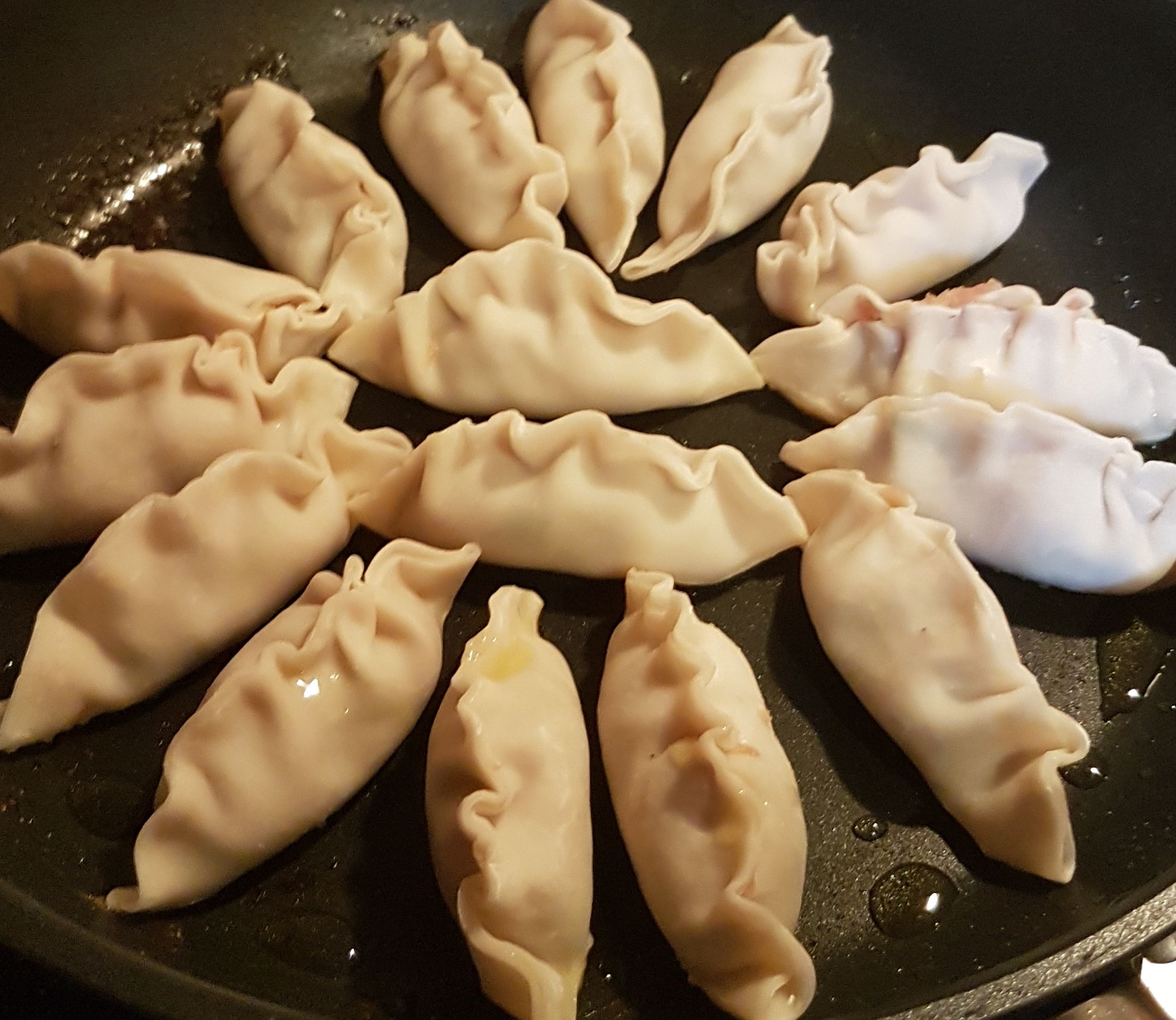 Potsticker dumplings bunch