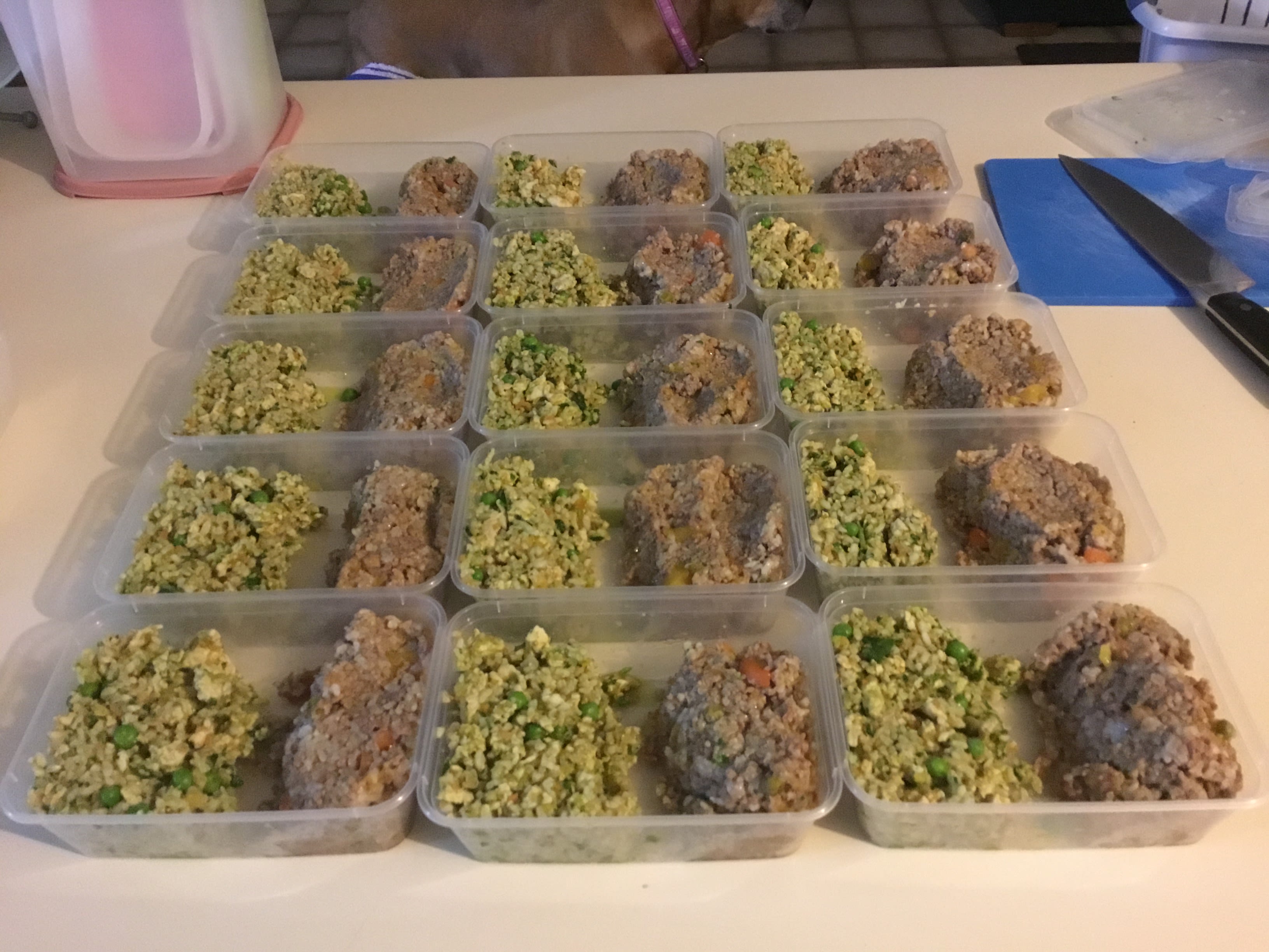 Home made Dog Food | bunch