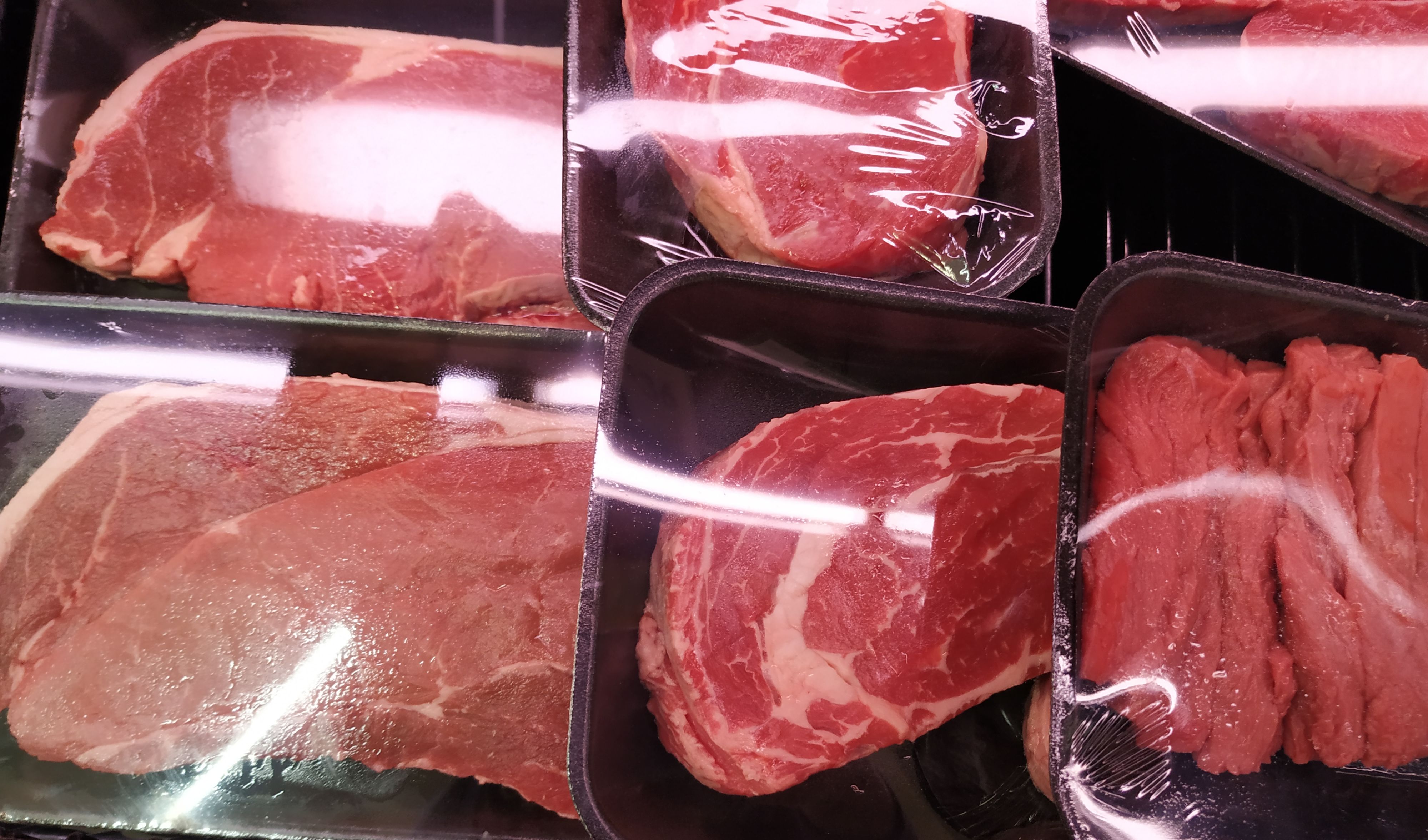 Uncovering The Carnivore:  What Meat Do Warthogs Consume? - gfqqxoy
