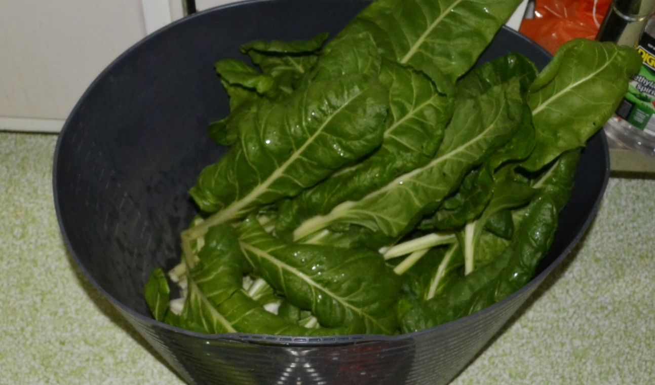 How to blanch and freeze silverbeet. | bunch