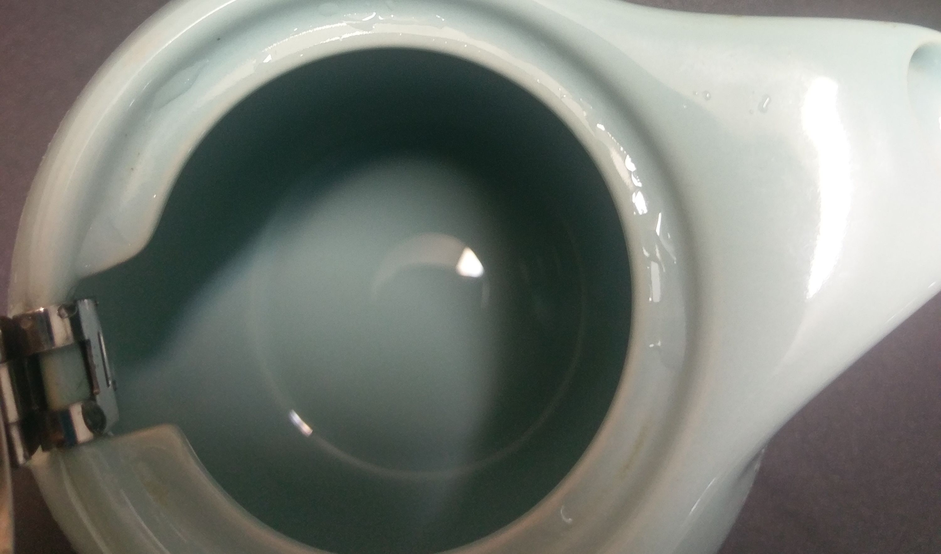 Top Tip Cleaning a teapot bunch