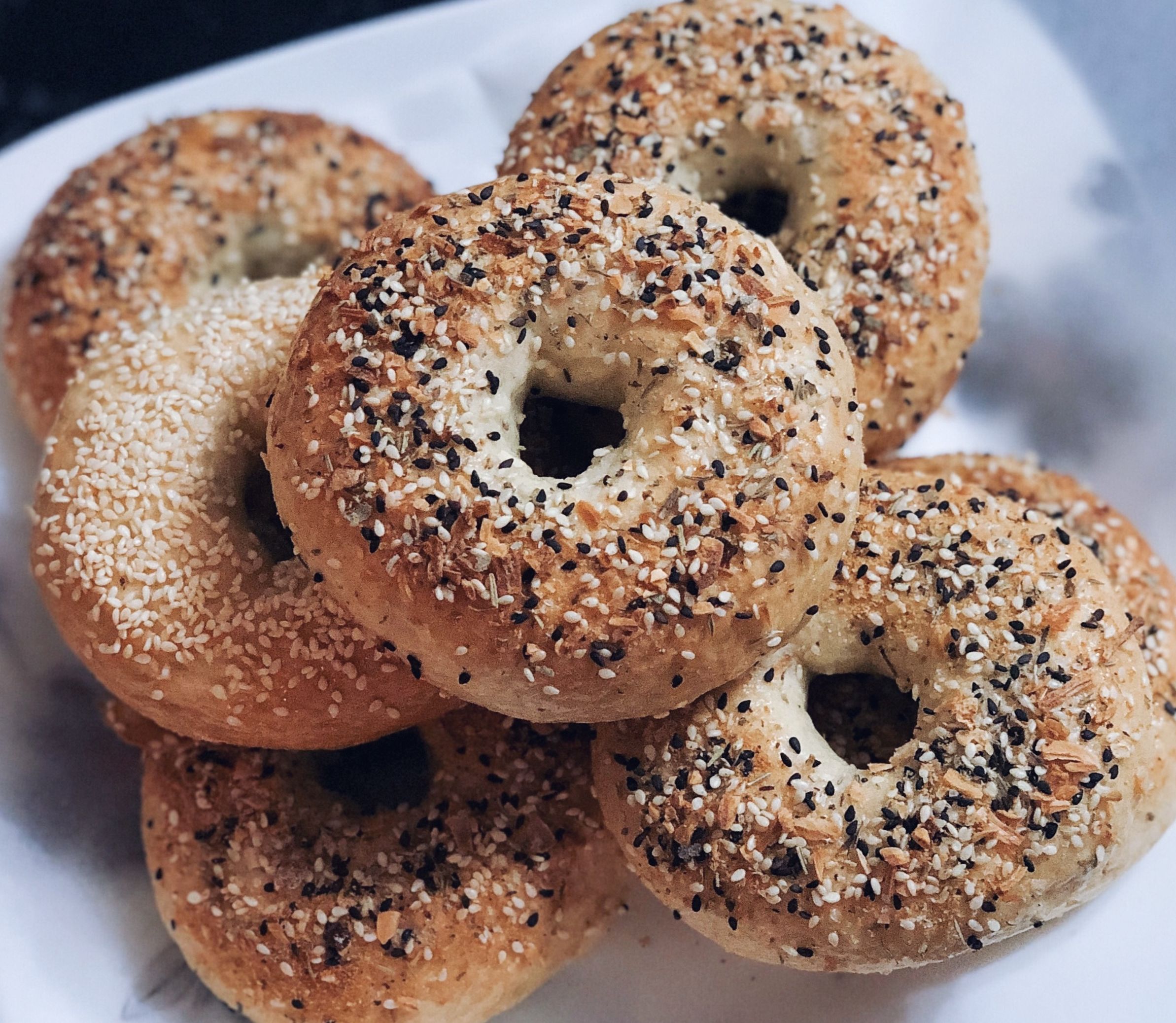 New York Bagel | bunch