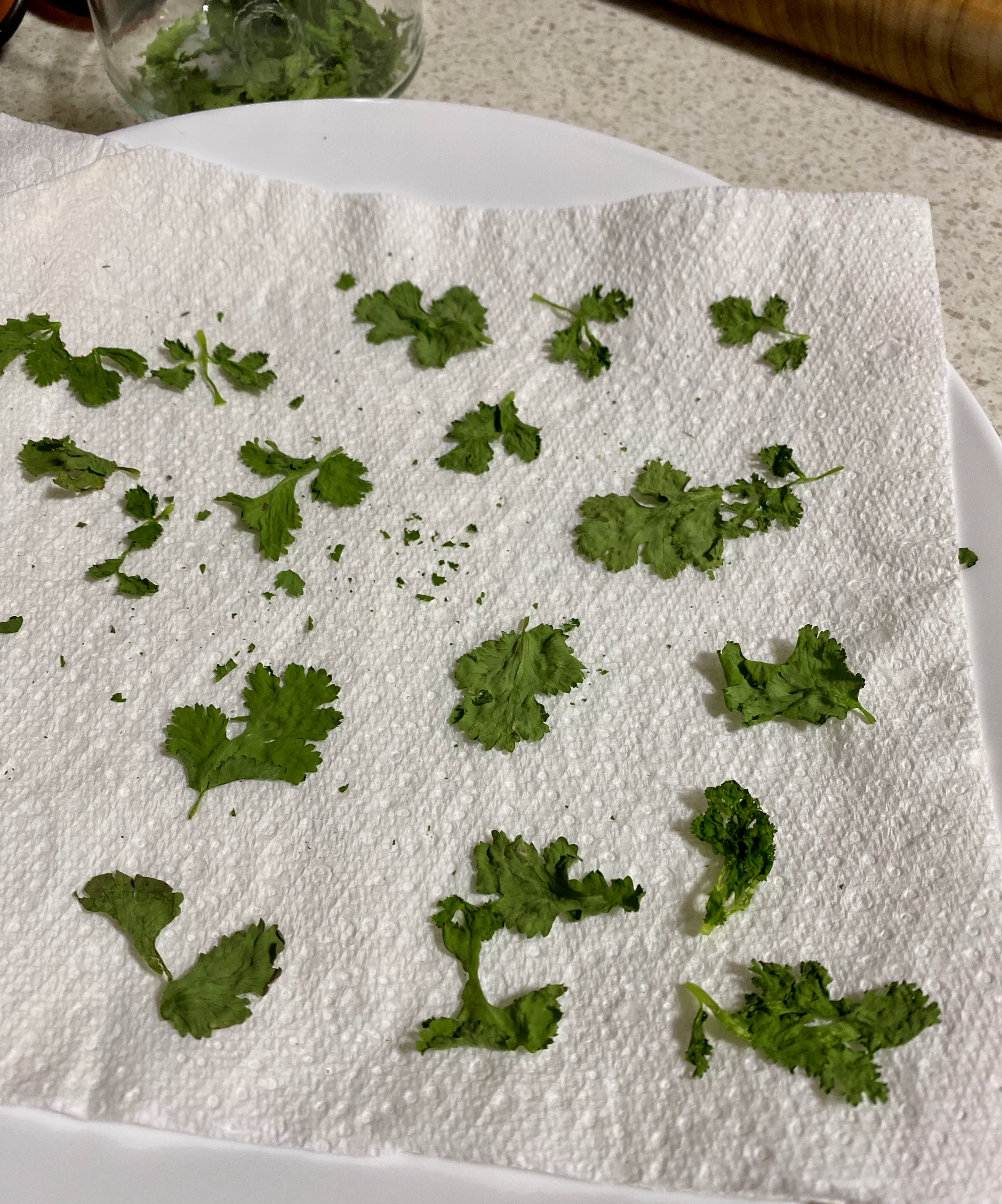 Drying Herbs in the Microwave bunch