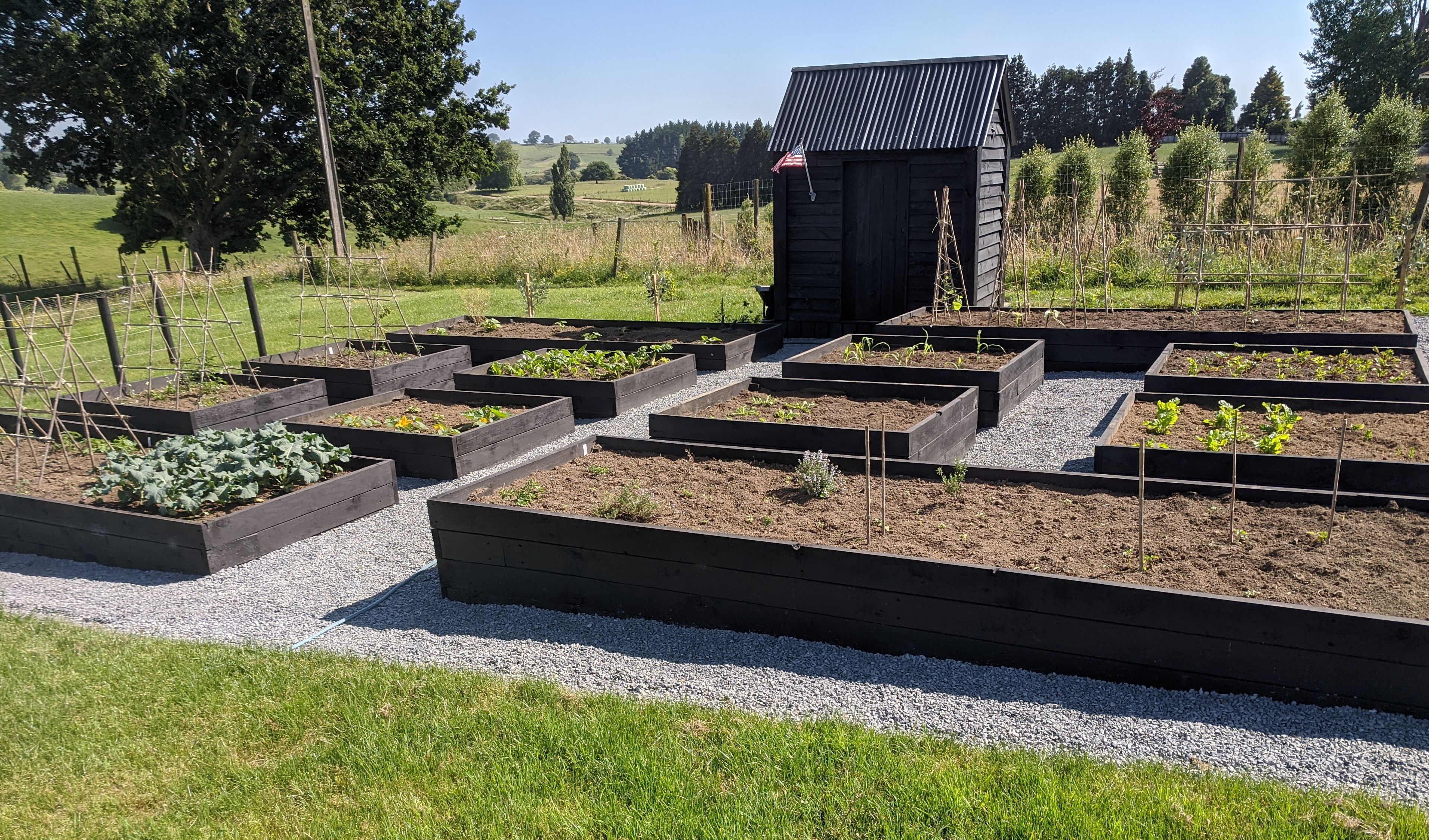 A tonne of work but so worth it my veggie garden bunch