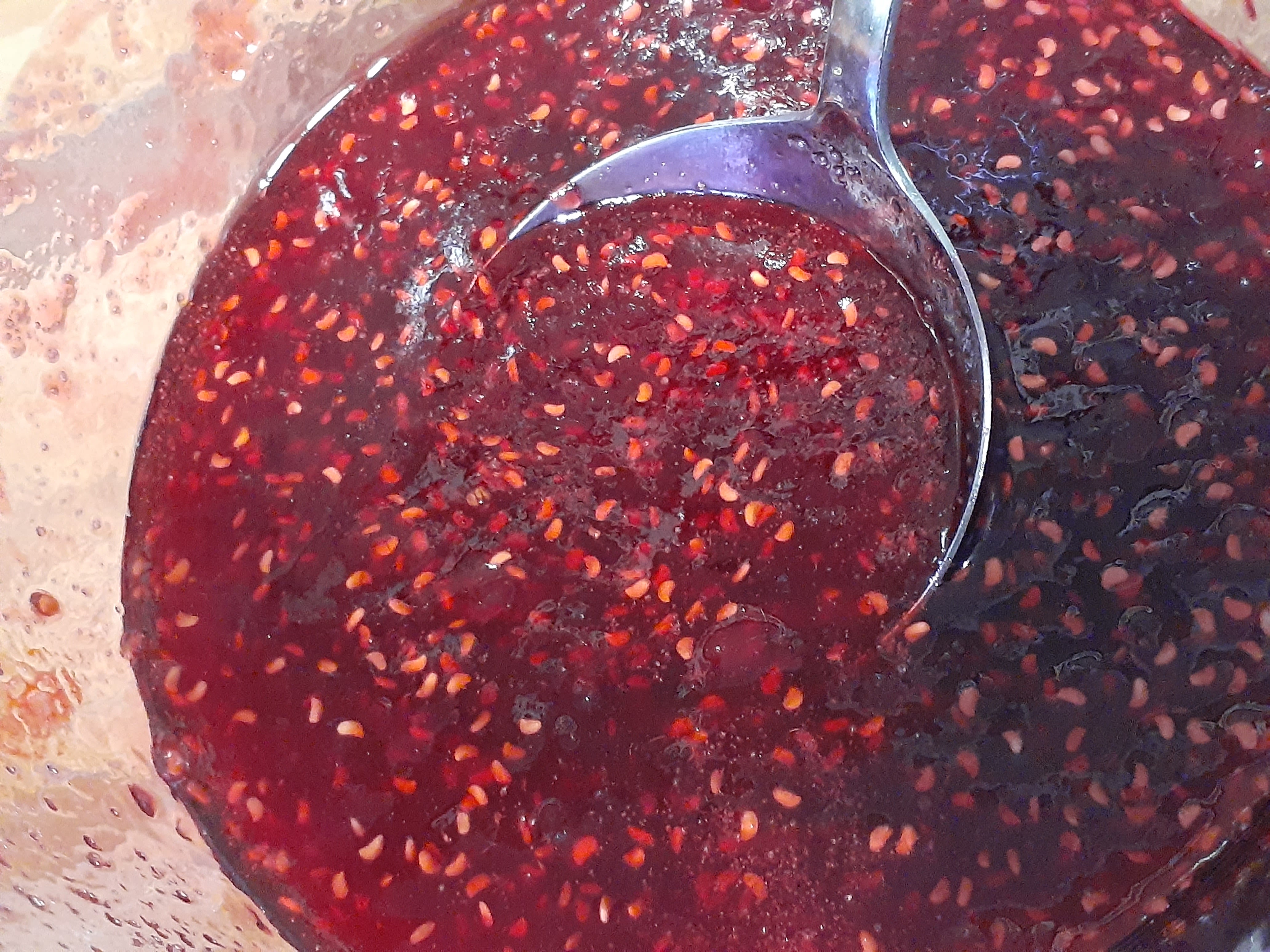 Raspberry Jam | bunch