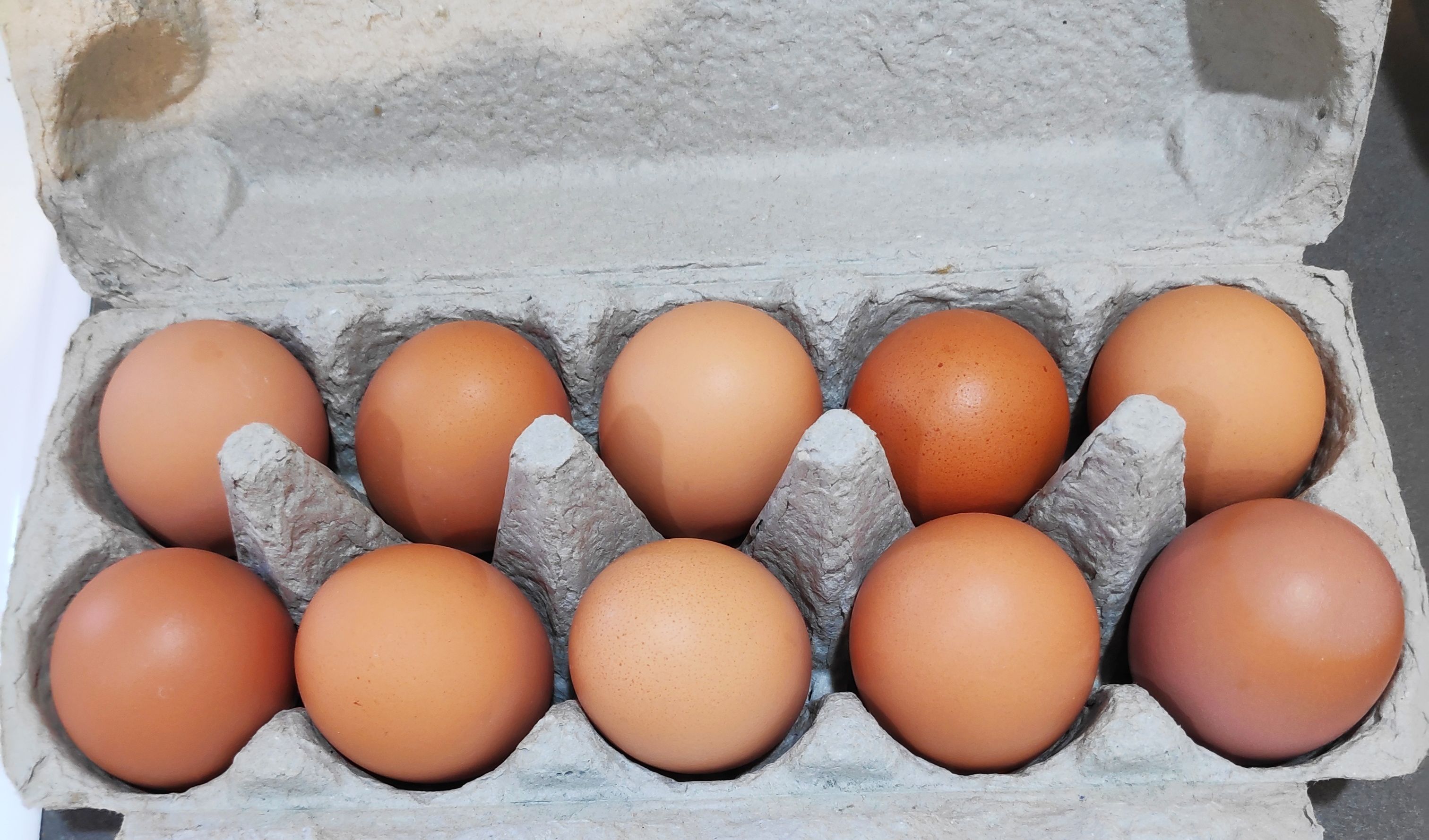 My 5 Food Safety Tips At Home Bunch my-5-food-safety-tips-at-home-bunch