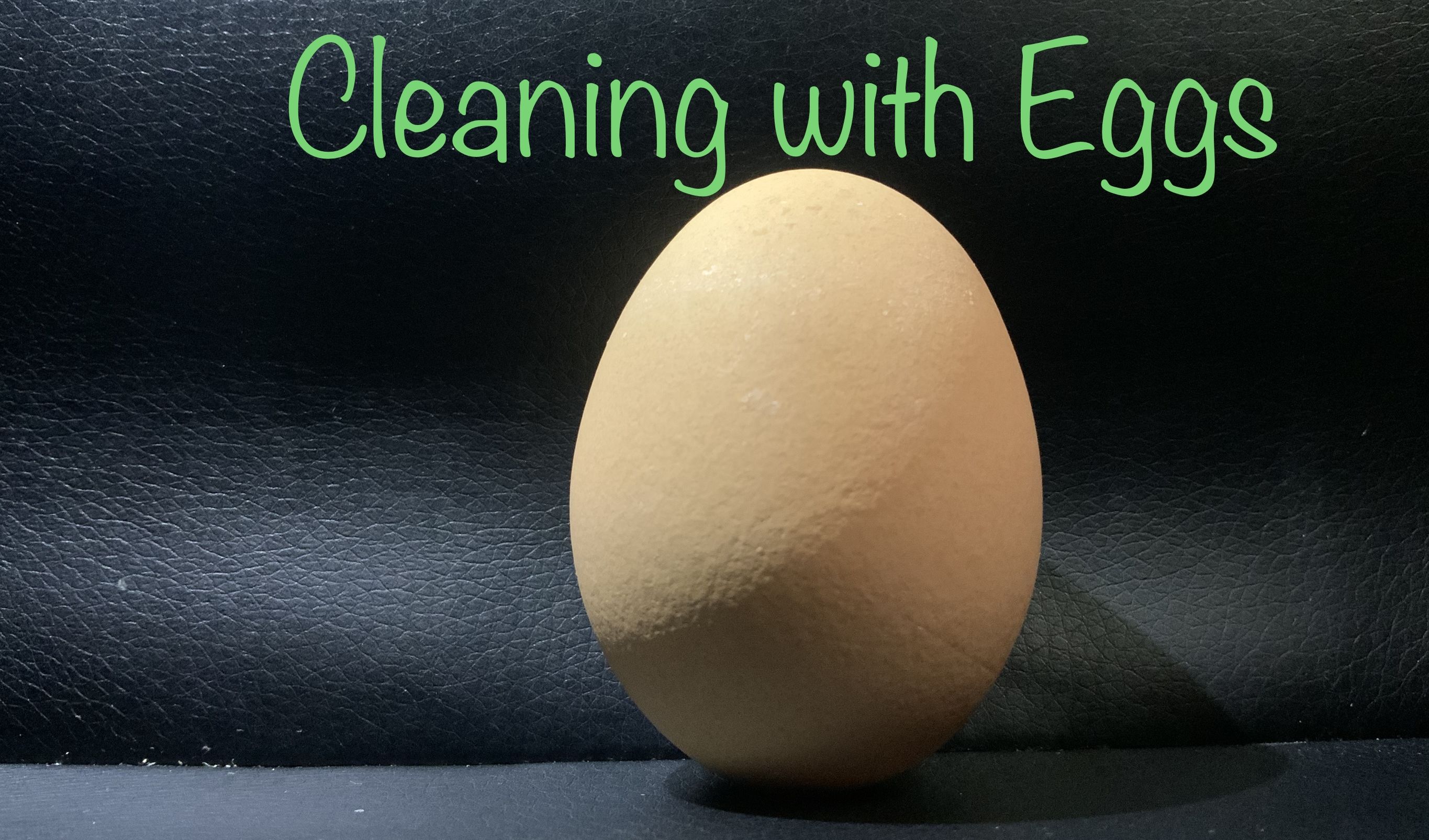 Cleaning with Eggs | bunch