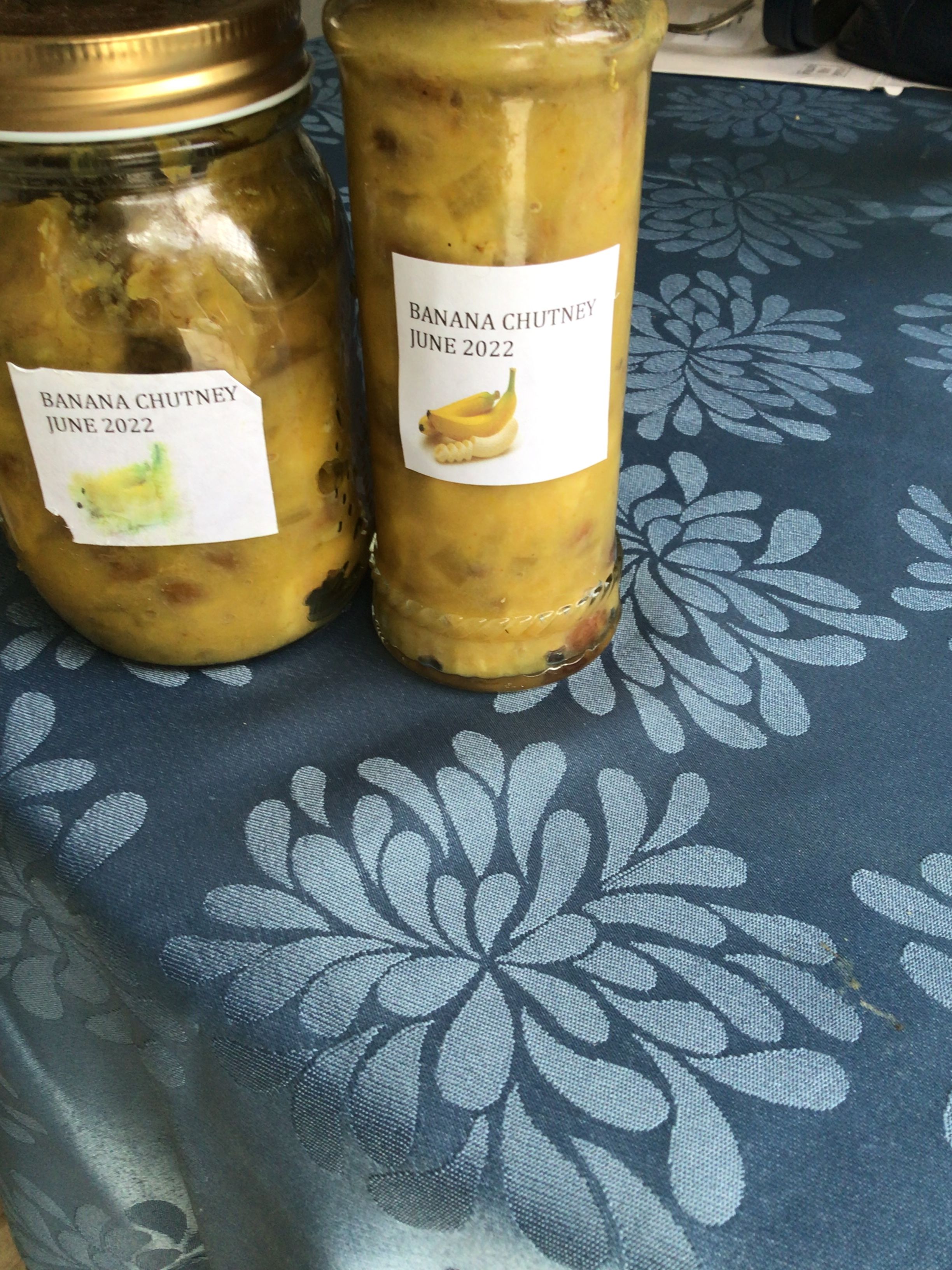 Dog Banana Chutney As A Digestive Aid photo