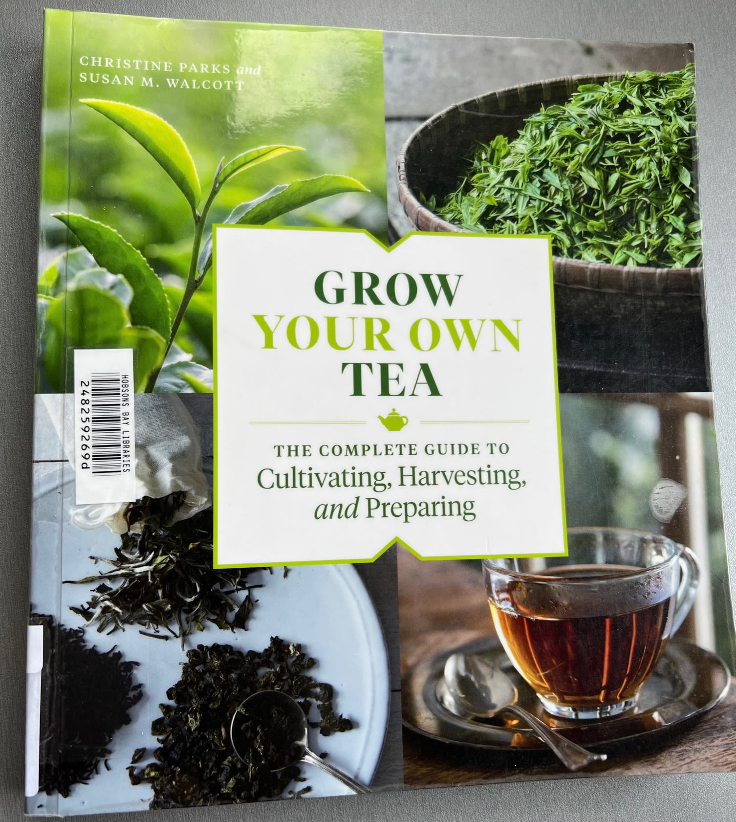 Fun Facts about Tea | bunch