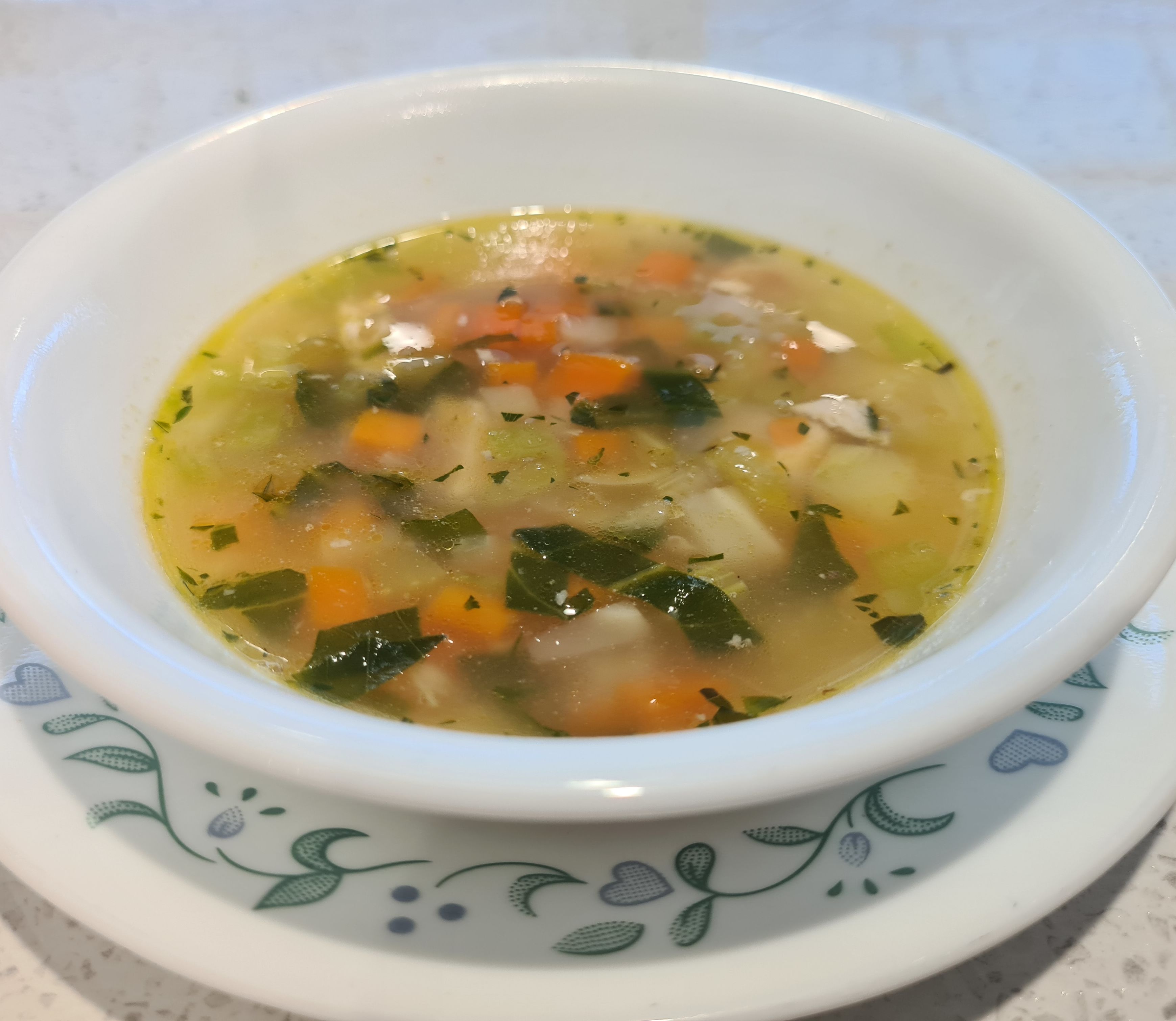 BBQ Chicken Foodsaver Soup bunch