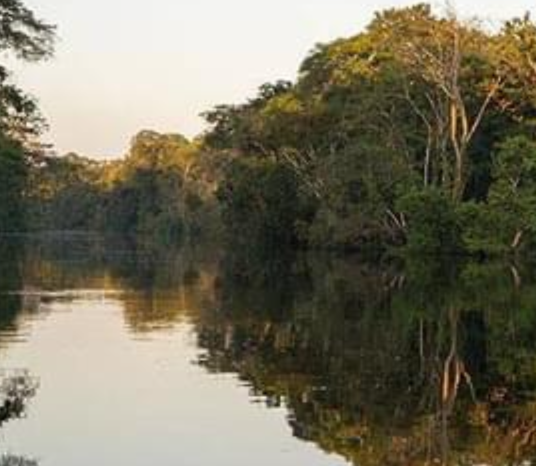 Amazing Amazon journey | bunch