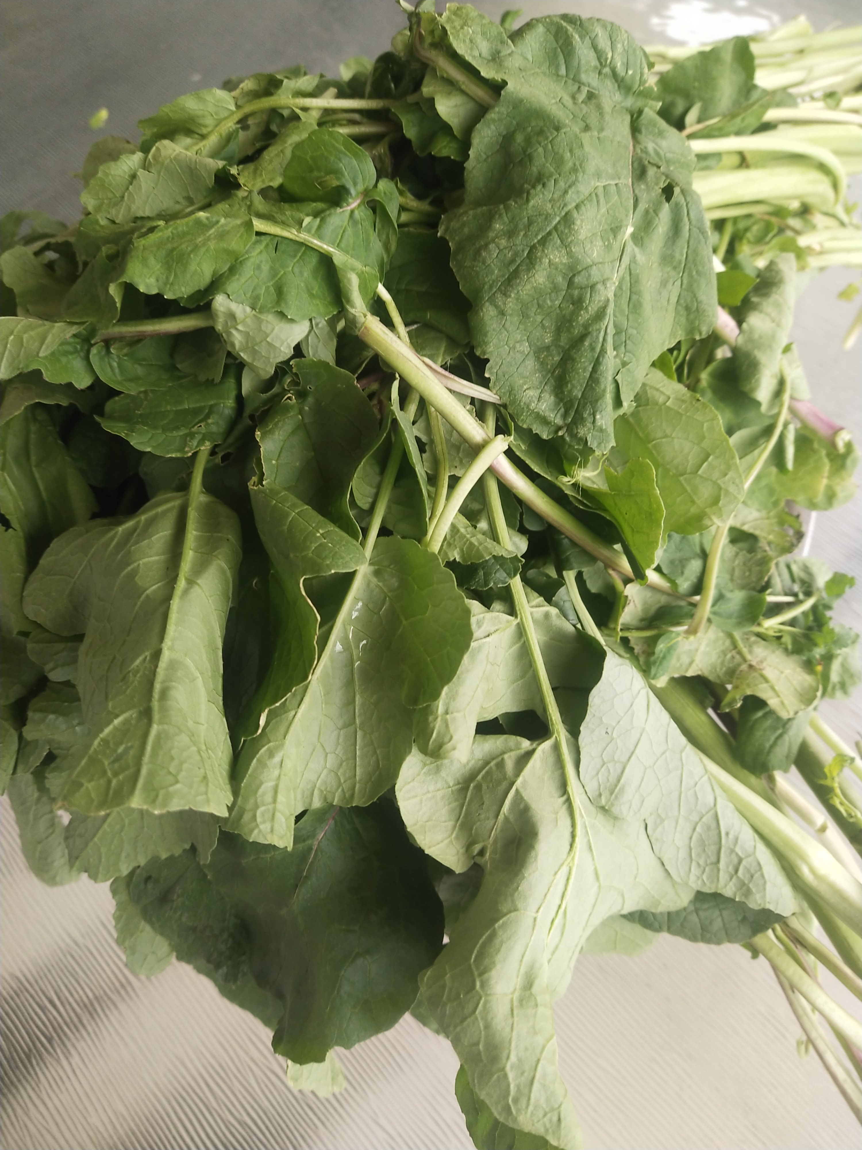 Mustack Leave Mustard Leaves | bunch
