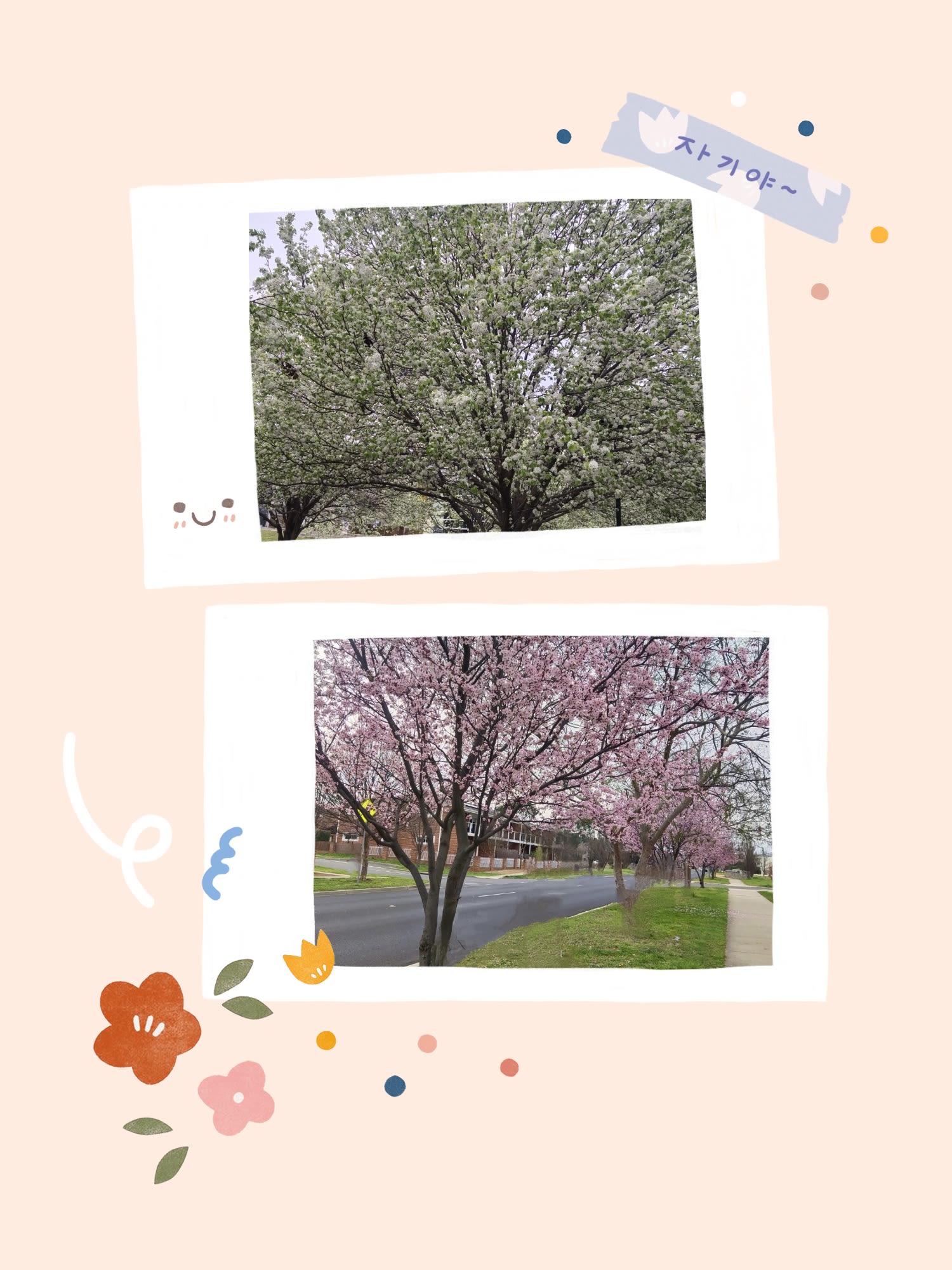 The Bliss of Spring ๐ธ | bunch