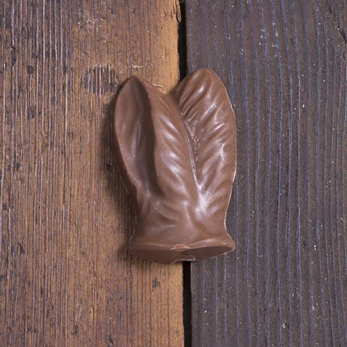 Milk Chocolate Bunny Ears