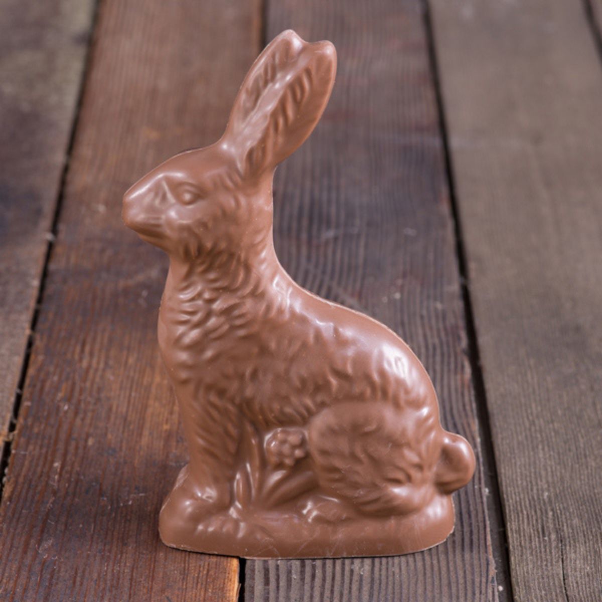 Milk Chocolate Sitting Easter Bunny