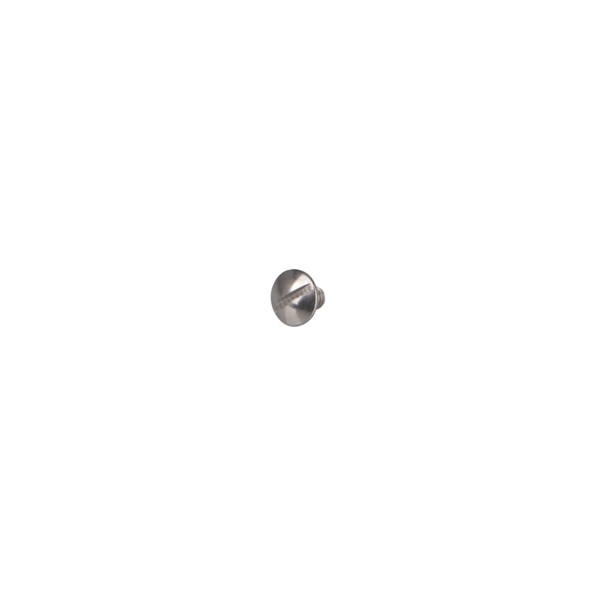 SCREW, TRH SLTD SST 8-32x.25