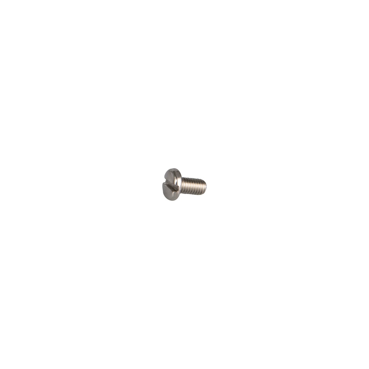 SCREW,PNH SLTD SST 10-32x.38